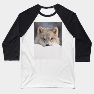 Arctic Wolf Baseball T-Shirt